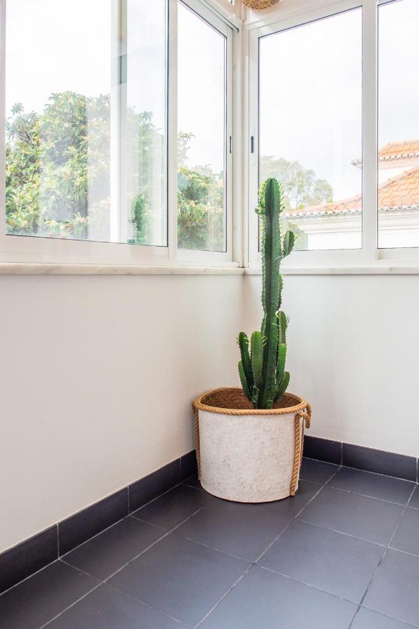 Casa De Cascais Do Pipas Apartment Ngoại thất bức ảnh
